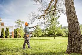 Best Lawn Watering Services  in Edgewood, MD