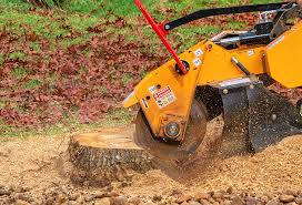 Best Tree and Shrub Care  in Edgewood, MD
