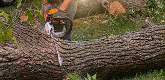 Lawn Drainage Solutions in Edgewood, MD