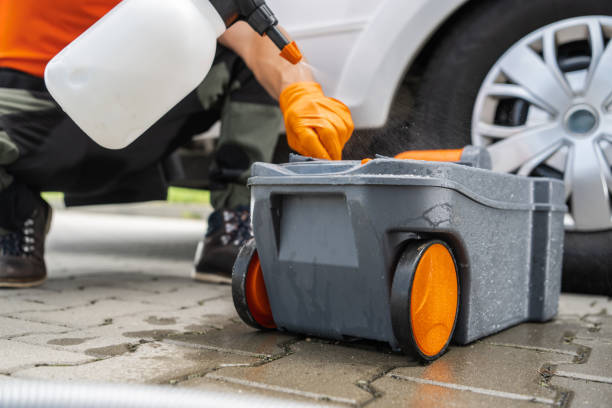 How Our Tree Care Process Works  in  Edgewood, MD